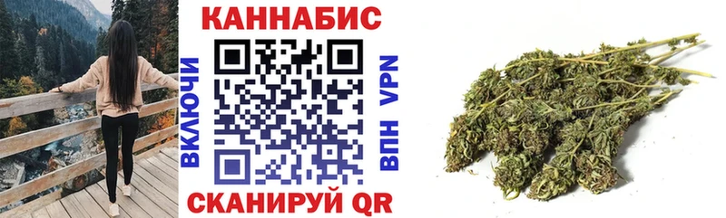 МЕФ Павловск