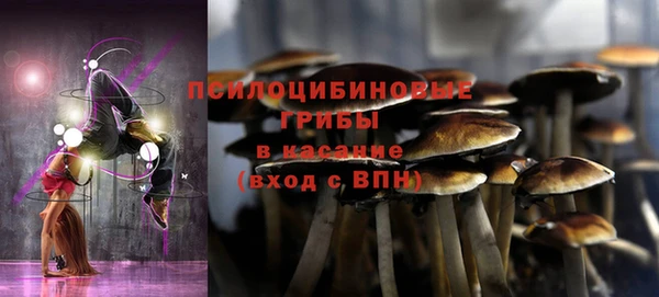 ешки Балахна