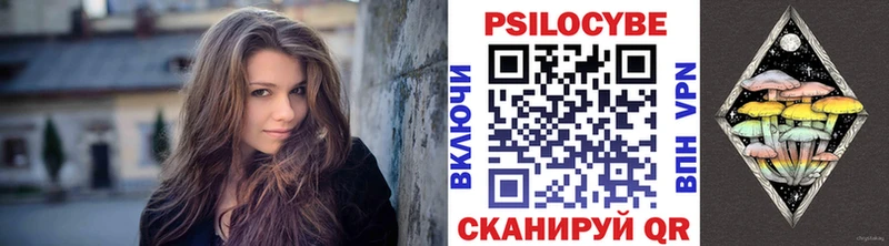 Галлюциногенные грибы Psilocybine cubensis  Павловск 
